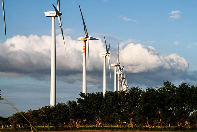 There is currently no established wind farm that respects biodiversity. (Photo: Renata Bessi)