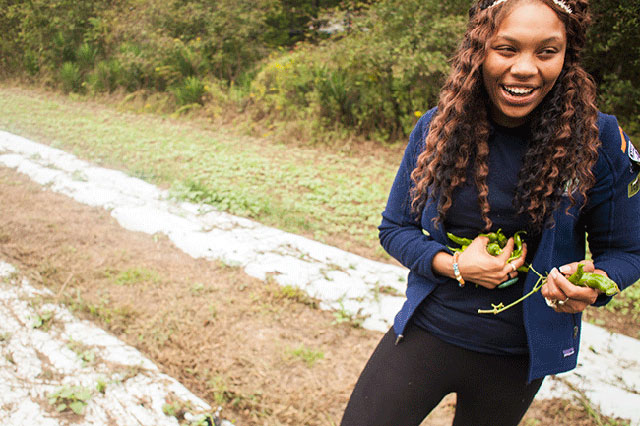 Lindsey Lunsford gathers peppers at TULIP’s community garden. (Photo: Wil Sands)