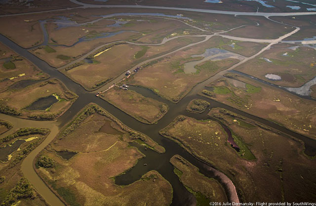 Golden Meadow, Louisiana, in Lafourche Parish