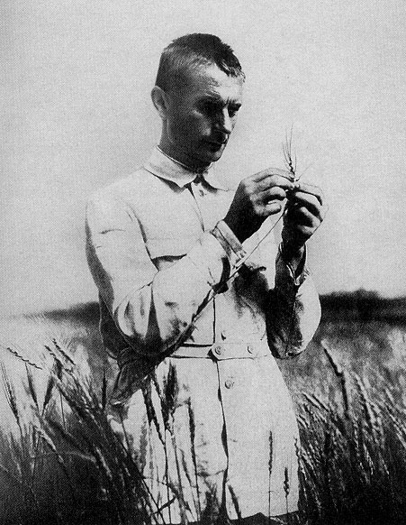 Trofim Lysenko's anti-scientific theories won favor from Stalin because Lysenko promised agricultural miracles. (Credit: Public Domain) 