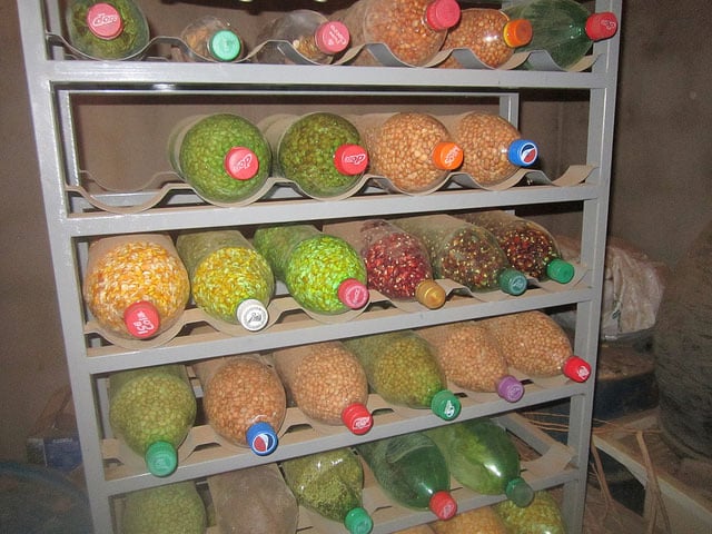 Native seeds stored in recycled plastic bottles, in a shack on his farm specially built by Raimundo Pinheiro de Melo, who proudly guards native seeds that contribute to food security in Northeast Brazil, in the midst of a drought that has dragged on for over five years. (Credit: Mario Osava / IPS)