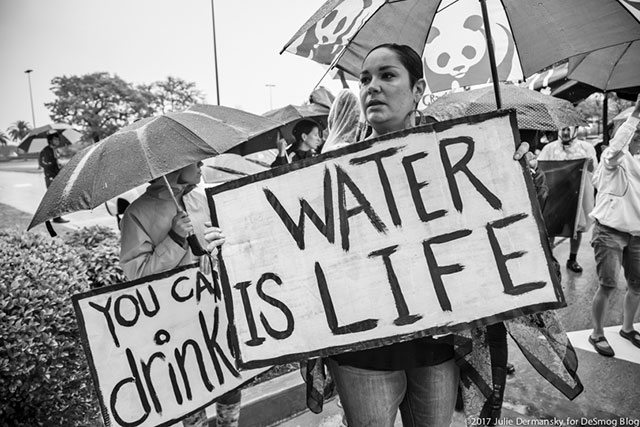 Water protectors protesting against the Bayou Bridge pipeline in front of DNR's New Orleans offices. (Photo: Julie Dermansky)