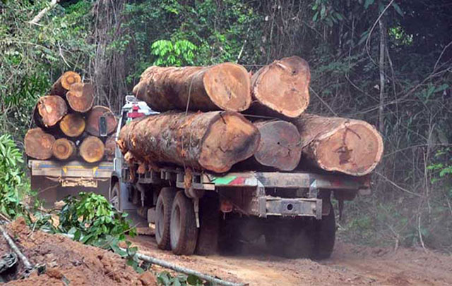 The lands removed from the conservation units would be reclassified as Areas of Environmental Protection (APAs), where private land ownership, agriculture and forest clearing is allowed. (Photo: Sue Branford)