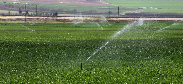 Lebanese farmers irrigate their malt fields in the Ammiq wetland in the Bekaa valley, on April 14, 2014. Lebanon is bracing for a summer drought, after a record dry winter exacerbated by a massive influx of Syrian refugees and longstanding water management problems. (Photo: JOSEPH EID/AFP/Getty Images)