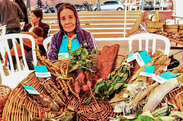 Indigenous and Rural Women Conserve Mother Earth and Empower Their Communities 