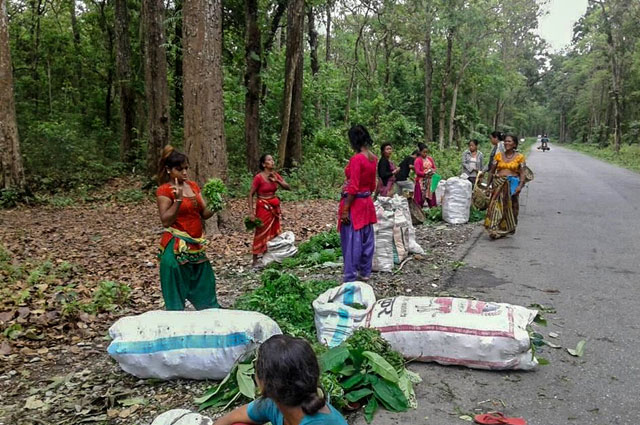 Indigenous and Rural Women Conserve Mother Earth and Empower Their Communities 