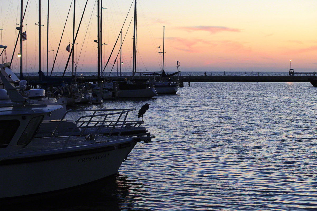 Pass Christian Harbor at dusk.