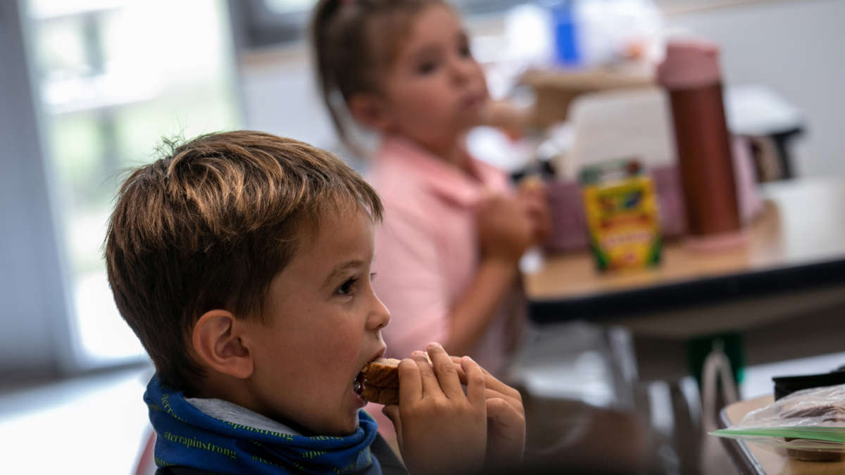 Sanders, Omar Introduce Bill to Permanently Provide Kids With Free School Meals - Vimarsana News