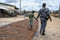 A police officer detains a child found drying cocoa in the village of Opouyo in the Soubre region of the Ivory Coast during an operation to remove children working on cocoa plantations.