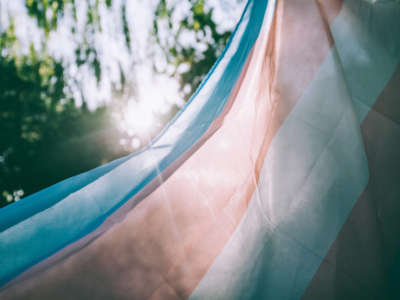 Transgender flag in front of sun and trees