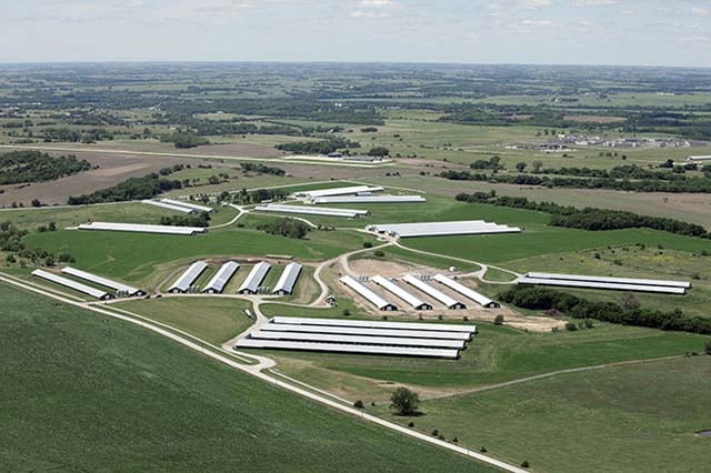 Overview of some of the 40 barns at MBA Poultry (dba Smart Chicken) in Tecumseh, Nebraska. On the day of the flyover no chickens were observed outdoors and the meticulously maintained lawn between the buildings was being mowed. The condition of the grass indicated no chickens had been out at any time.
