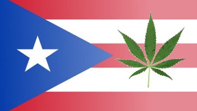 The Case for Legalizing Marijuana in Puerto Rico