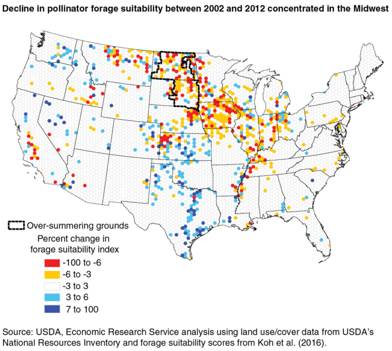 Beyond Honey Bees: Wild Bees Are Also Key Pollinators, and Some Species ...