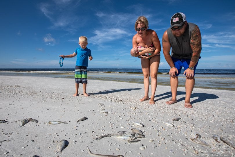 A couple with their children on Siesta Key Beach, the morning before their wedding. The Turtle Bay Resort where their wedding was being held, promised to clean the dead fish off the beach before the ceremony later that evening.