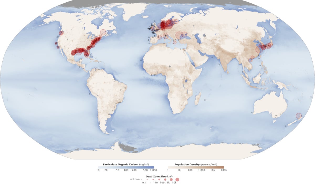 Red circles show the location and size of many dead zones. Black dots show dead zones of unknown size. The size and number of marine dead zones — areas where the deep water is so low in dissolved oxygen that sea creatures can’t survive — have grown explosively in the past half-century.