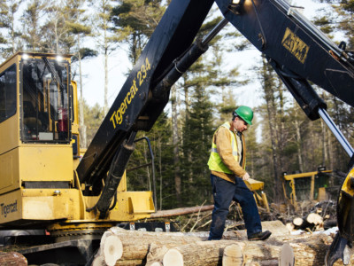Maine Custom Woodlands owner Tom Cushman walks along stacked logs after feeding wood into a chipper to be sent as biomass fuel to ReEnergy in Brunswick, Maine, on January 26, 2016.