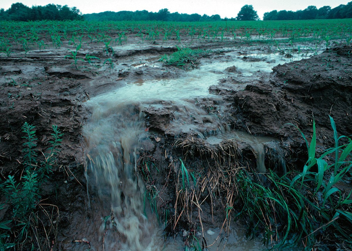 Soil erosion and agricultural runoff are the top sources of water pollution in the United States.