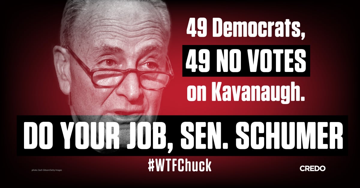49 Democrats, 49 No Votes on Kavanaugh. Do your job, Sen. Schumer