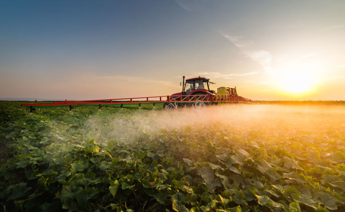 Scientific scrutiny of pesticide residue in food grows as regulatory protections are questioned.