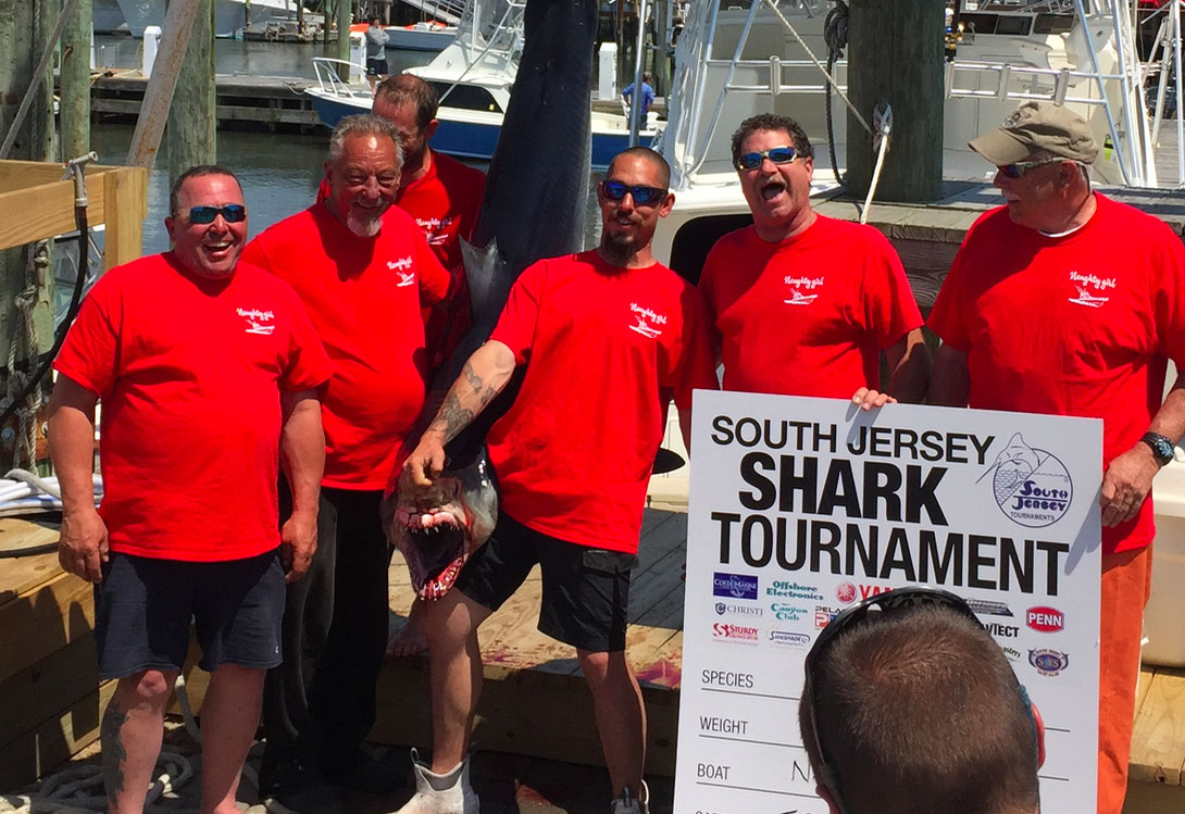 Mako sharks killed at the South Jersey Shark Tournament in June 2017.