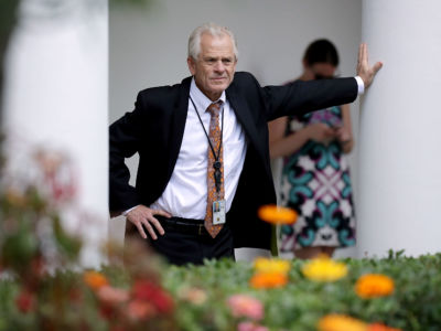 White House National Trade Council Director Peter Navarro stands along the Rose Garden colonnade as he listens to a news conference between President Trump and Japanese Prime Minister Shinzo Abe at the White House on June 7, 2018, in Washington, DC.