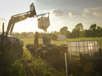 In one of many sweeping landscape shots, farmer Bob Comis feeds his herd.