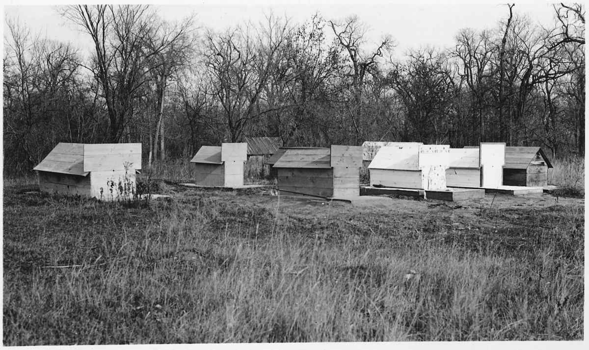 Native Peoples' Bones Are Not Collectors' Items. They Must Be Returned.