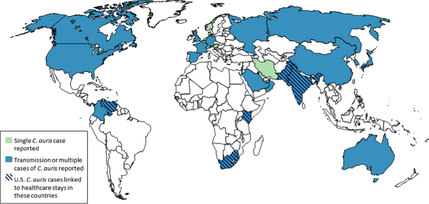 A chart of C.auris cases by country.