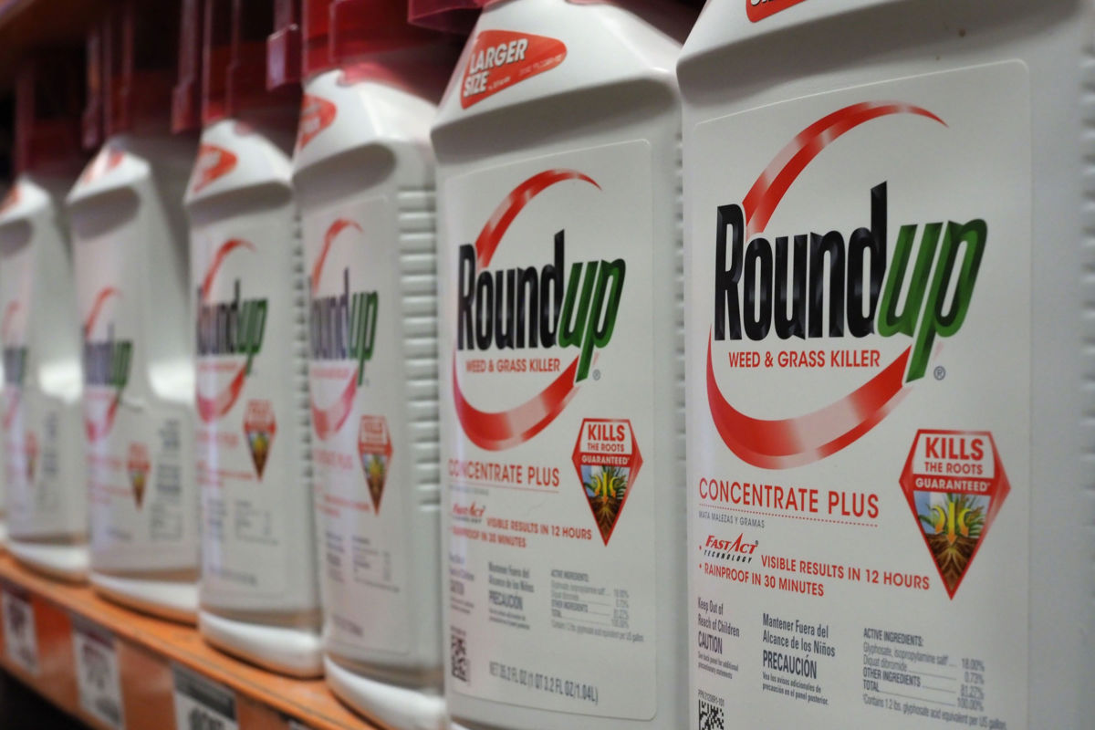 Bottles of Monsanto's Roundup are seen for sale June 19, 2018, at a retail store in Glendale, California.