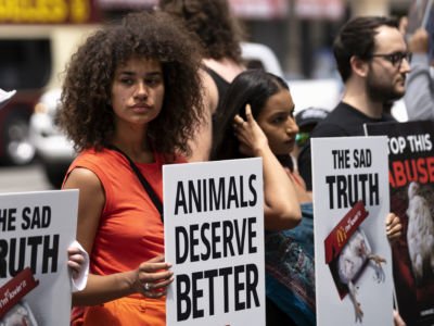 Animal rights activists seen holding placards during a protest of what they called, animal cruelty in the chicken supply chain of McDonald's.