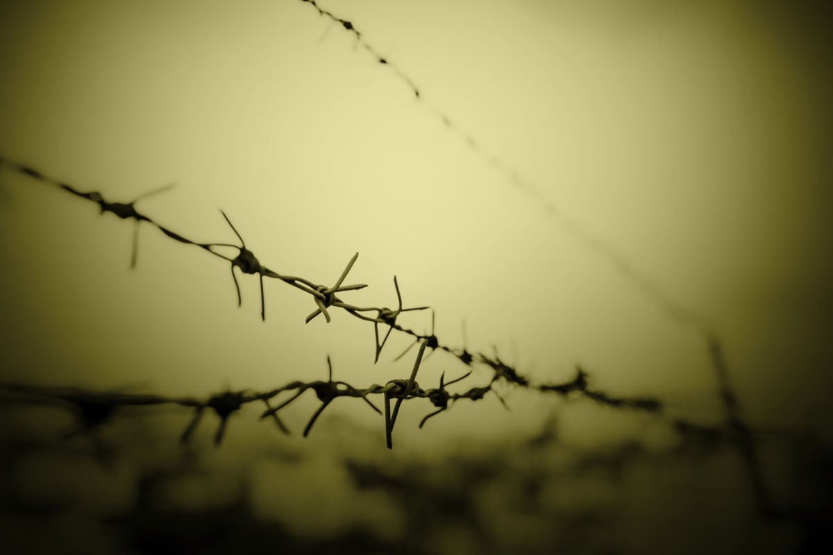 Black and white barbed wire