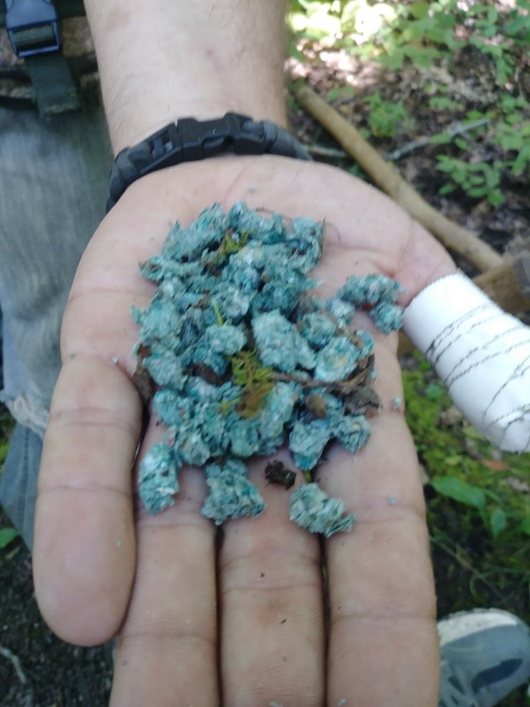 A hand holds a cluster of blue pellets