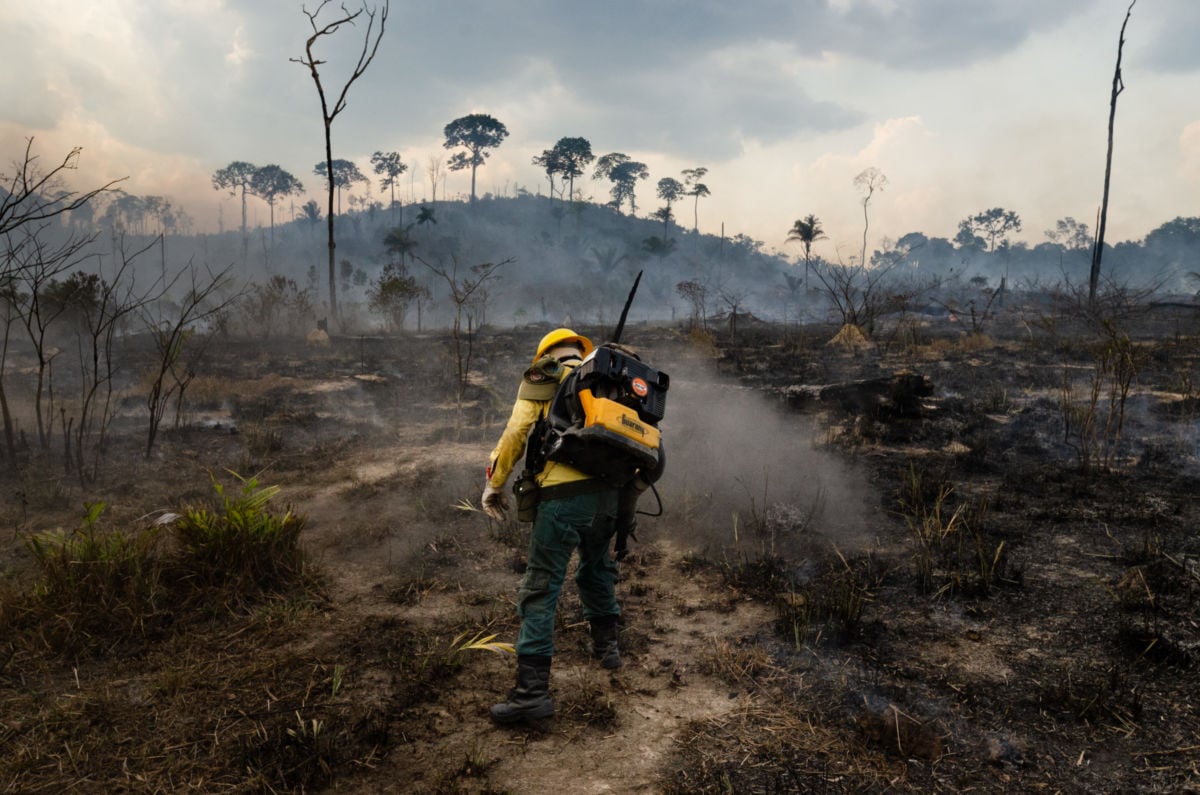 A firefighter walks among the ashes of what used to be a part of the Amazon rainforst