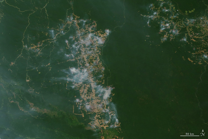 Scientists using NASA satellites to track fire activity have confirmed an increase in the number and intensity of fires in the Brazilian Amazon in 2019.