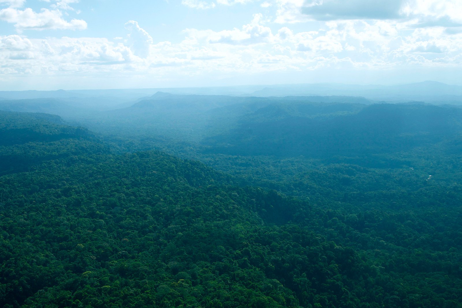 Ecuadorian-Amazon