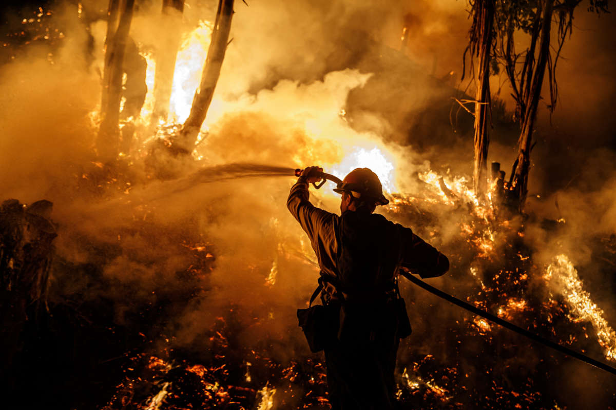 A firefighter sprays burning trees with a hose