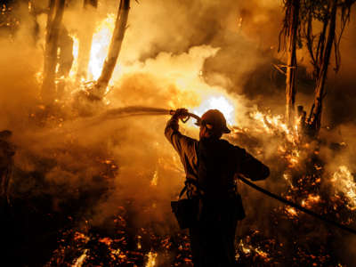 A firefighter sprays burning trees with a hose