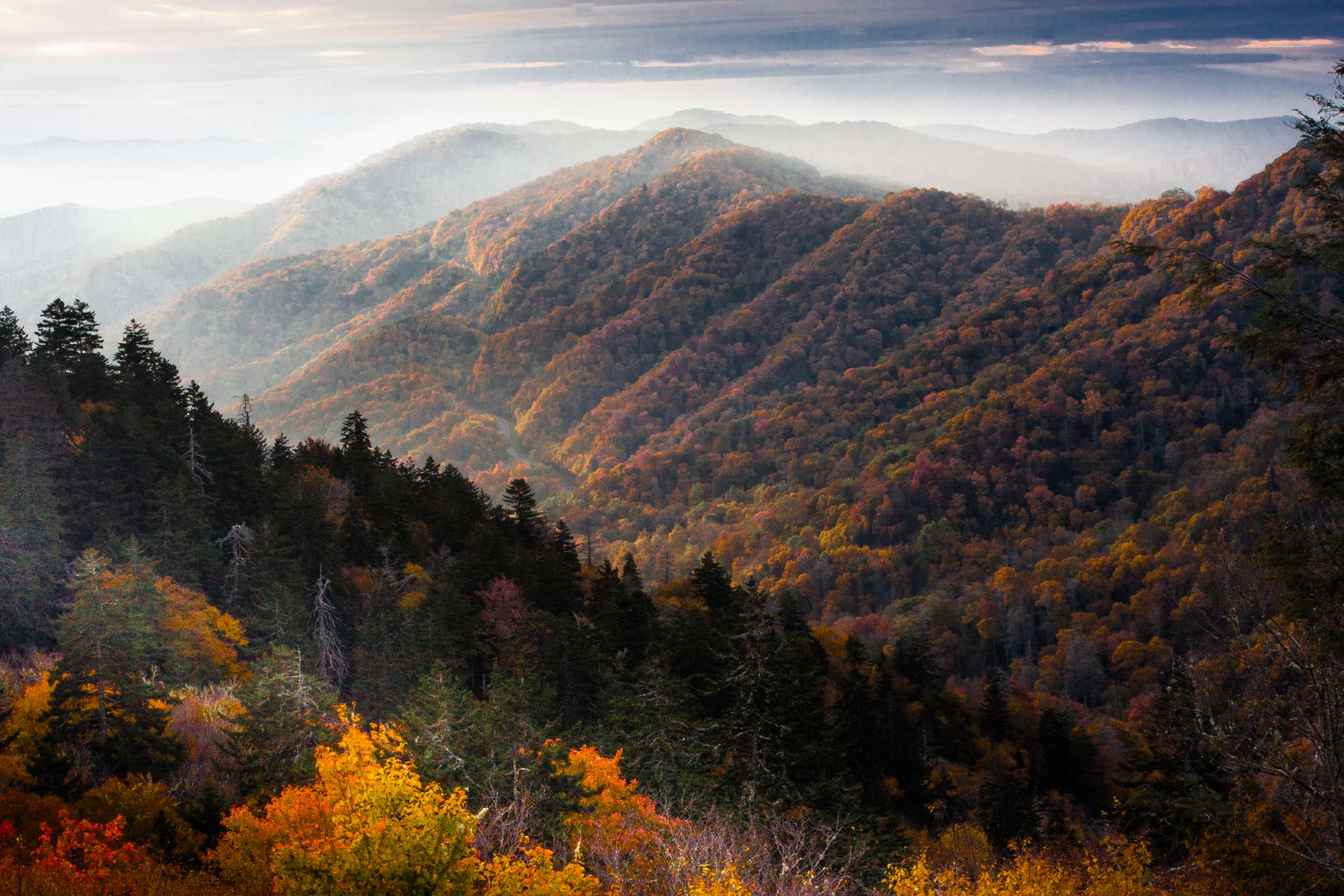 appalachia-has-a-rich-history-of-women-led-social-movements