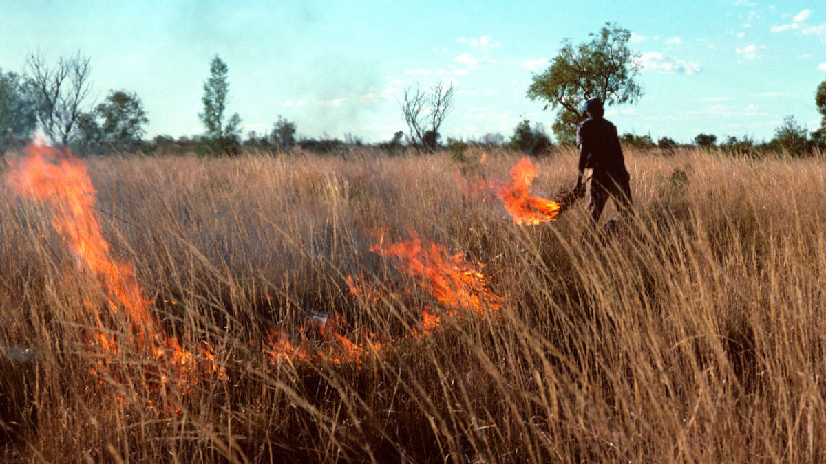 To Manage Fires, Australia Must Follow the Lead of Aboriginal Communities