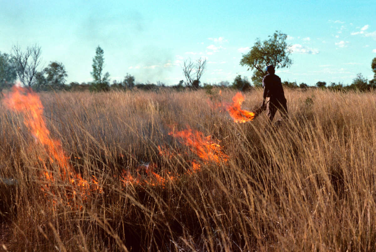 Warlpiri people burning spinifex to promote growth in Tanami Desert, Northern Territory, Australia.