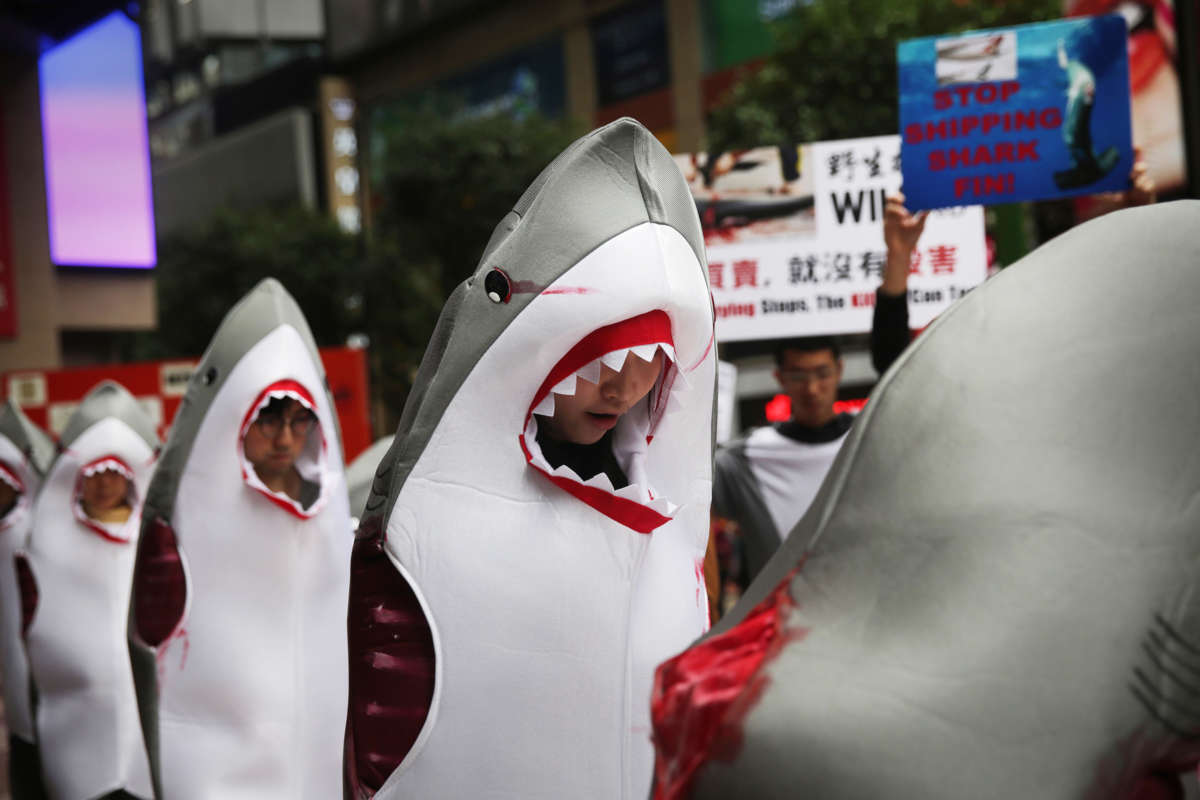 People in bloodied shark costumes march through the streets in protest