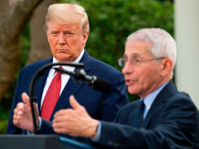 President Trump listens as Director of the National Institute of Allergy and Infectious Diseases Dr. Anthony Fauci speaks during a Coronavirus Task Force press briefing in the Rose Garden of the White House in Washington, D.C., on March 29, 2020.