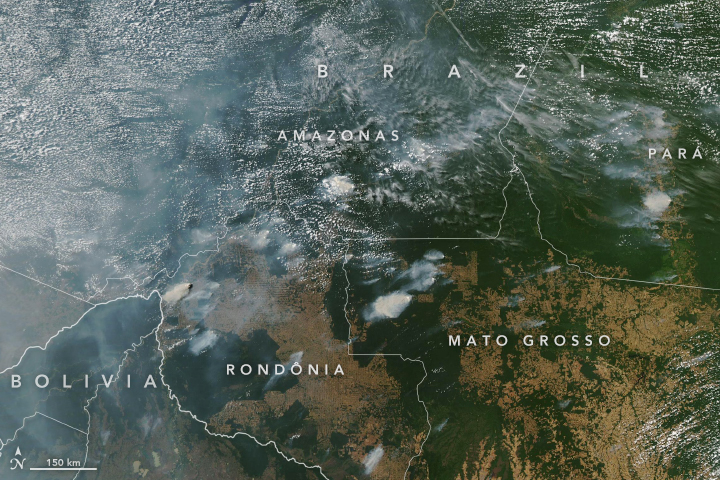 NASA satellite image showing fires raging across the Amazon rainforest on August 11, 2019.