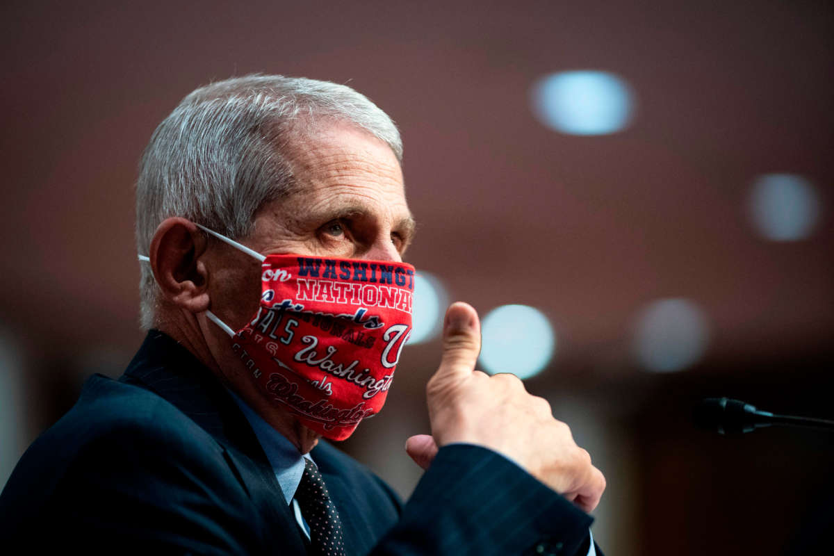 Anthony Fauci, director of the National Institute of Allergy and Infectious Diseases, seen during a hearing on Capitol Hill in Washington D.C. on June 30, 2020.