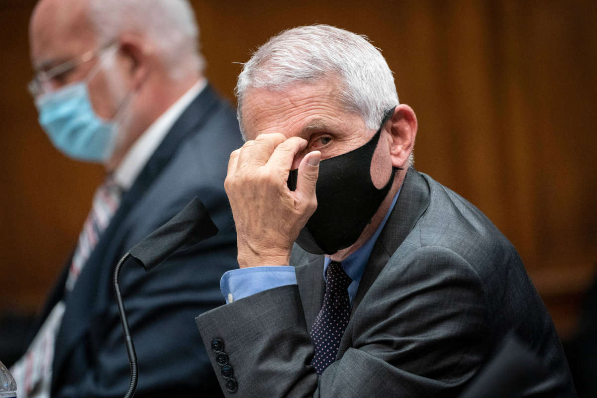 Anthony Fauci, director of the National Institute of Allergy and Infectious Diseases, testifies before the House Energy and Commerce Committee in Washington, D.C., on June 23, 2020.