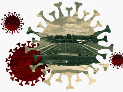 Maryland Stadium, seen through COVID-19 molecules