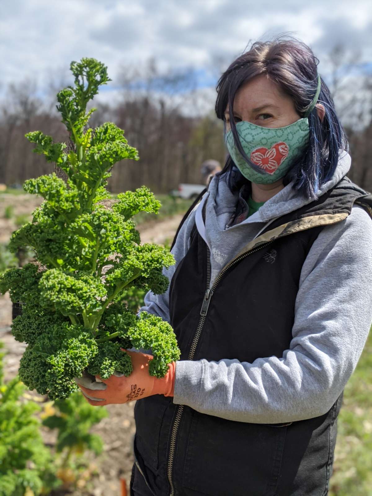 A worker in a mask holds a beautiful stalk of kale
