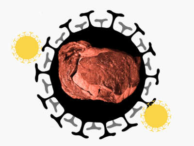 meat is surrounded by graphics of viruses