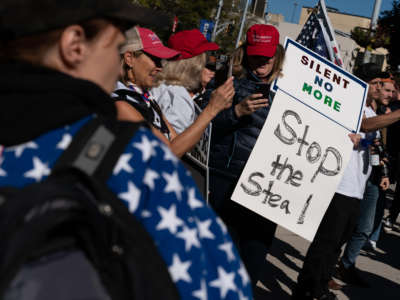 Pro-Trump protesters attend a "Stop the Steal" rally against the results of the 2020 presidential election outside the Georgia State Capitol on November 18, 2020, in Atlanta, Georgia.