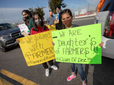 Two young protesters attend a demonstration in solidarity with Indian farmers on December 5, 2020, in California.